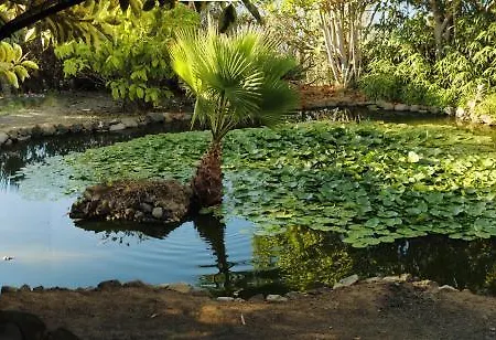 El Rincon * La Orotava