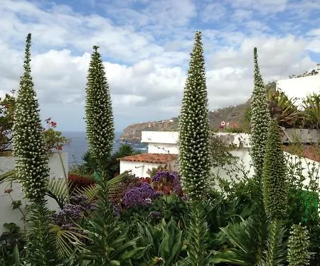 El Rincon